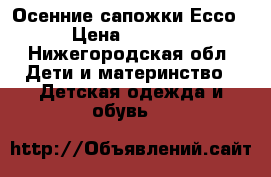 Осенние сапожки Ессо › Цена ­ 2 500 - Нижегородская обл. Дети и материнство » Детская одежда и обувь   